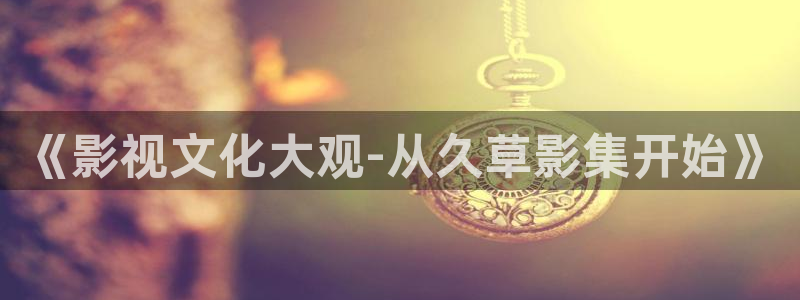 51视频网站观看